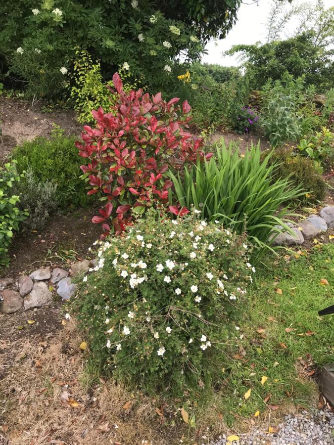 Appartamento Pat'S Place Ballaghaderreen Esterno foto